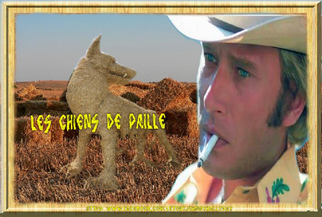 Paroles De Johnny Hallyday Les Chiens De Paille