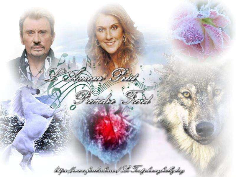 Johnny Hallyday/Céline Dion - L'Amour peut Prendre Froid