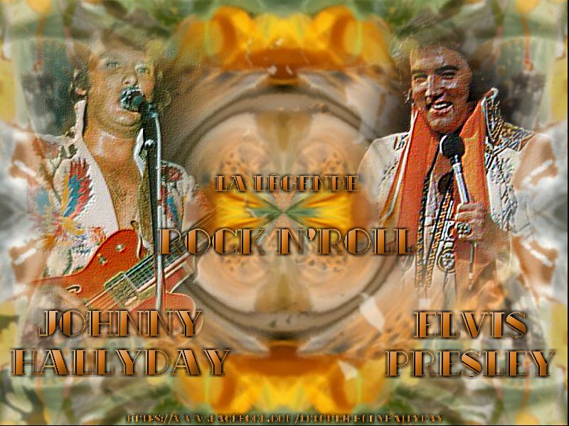 Johnny hallyday rencontre elvis presley